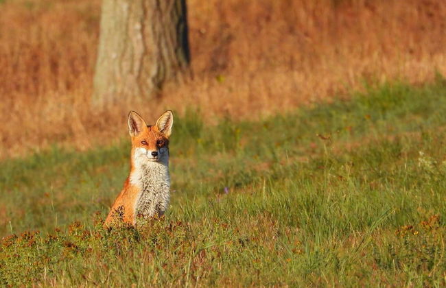 Doppelhaushaelfte in Hasselfelde - Photo 12