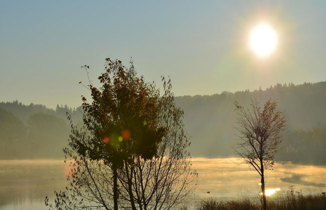 Doppelhaushaelfte in Hasselfelde - Photo 17