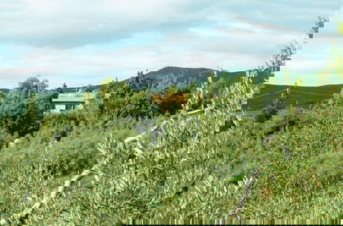 Photo 40 - La Pergola, Holiday Home in Tuscany on the Hill and Near the Sea, for 2 - 2