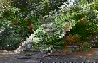 Foto 1 - La Pergola, Holiday Home in Tuscany on the Hill and Near the Sea, for 2 - 2