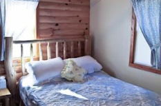 Foto 3 - #7 - Northwoods Retreat 3 Bedroom Cabin by RedAwning