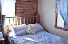 Foto 3 - #7 - Northwoods Retreat 3 Bedroom Cabin by RedAwning