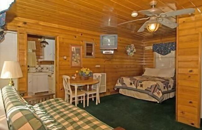 Golden Bear Cottages - Foto 14
