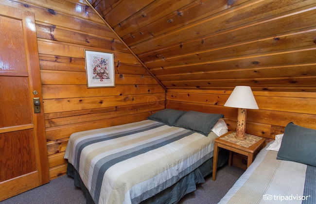 Golden Bear Cottages - Foto 33