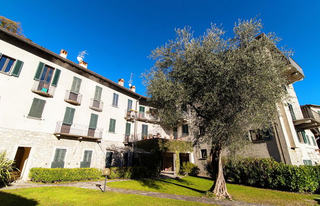 Olea - Foto 29