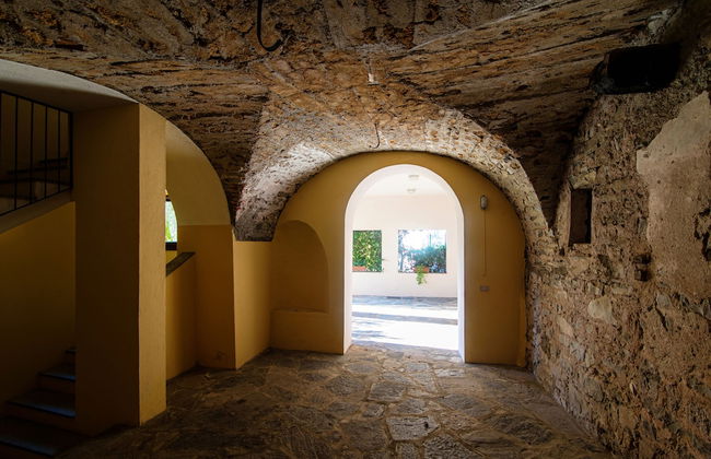 Olea - Foto 31