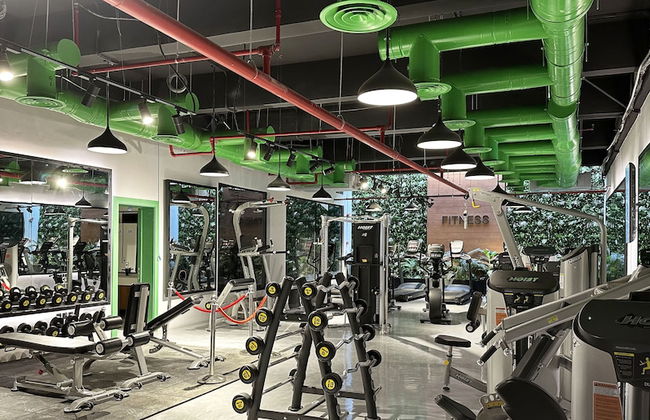 Kease Malqa B5-6 Royal Touch XZ43 - Photo 23