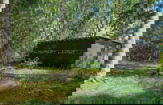 Photo 3 - Bear Watching and Photography Hide