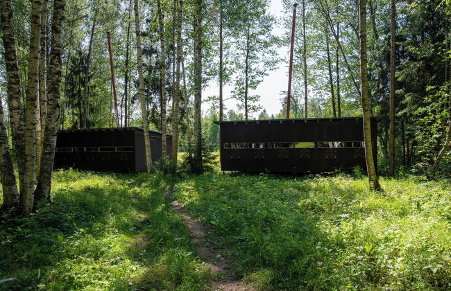 Bear Watching and Photography Hide - Foto 8