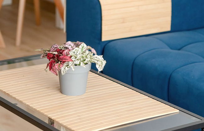 Blue Apartment With Sea View by Renters - Foto 45