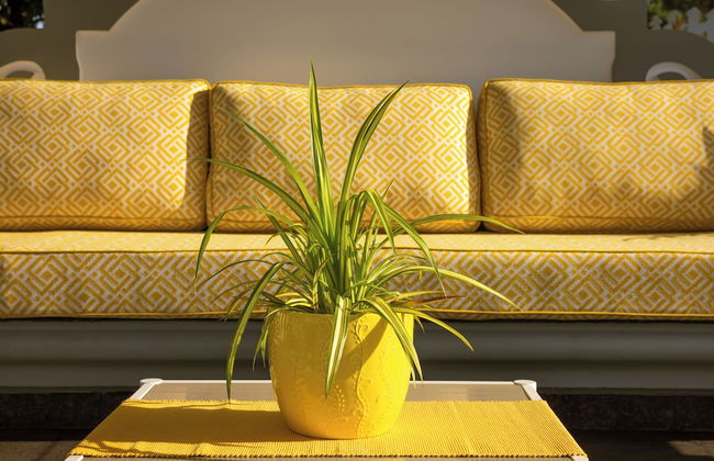 Luxury Beach villa Absolut - Foto 18