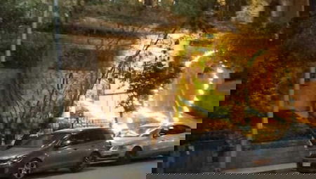 Imagem principal
