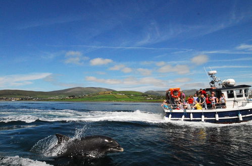 Photo 39 - Dingle Courtyard Cottages 2 Bed Sleeps 4