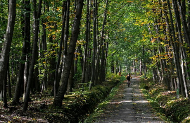 Ovifat Sauna Escape, Waimes - Foto 40