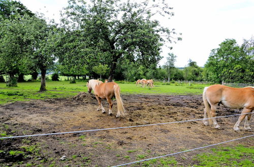 Photo 29 - Very Authentic Ardennes House