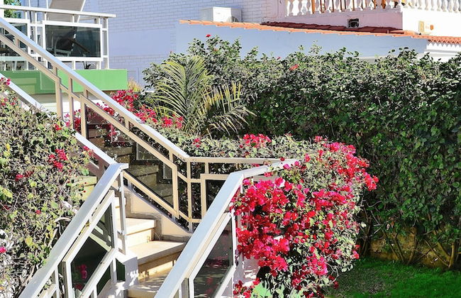 Apartamentos Oasis Maspalomas - Photo 29