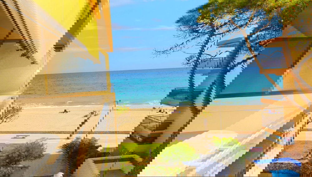 Image principale