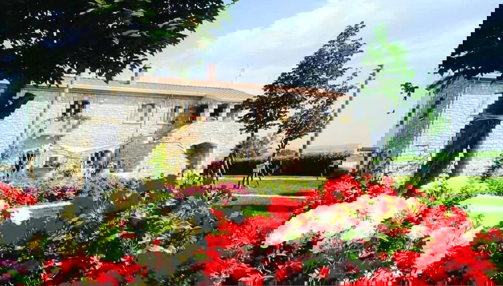 Imagem principal