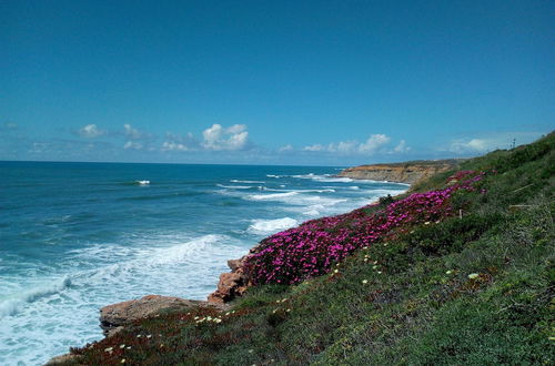 Photo 52 - Coxos Beach Lodge