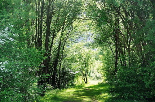 Photo 35 - Retiro do Bosque Country House