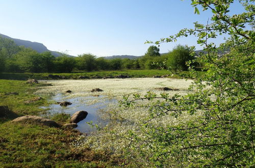 Photo 26 - Retiro do Bosque Country House