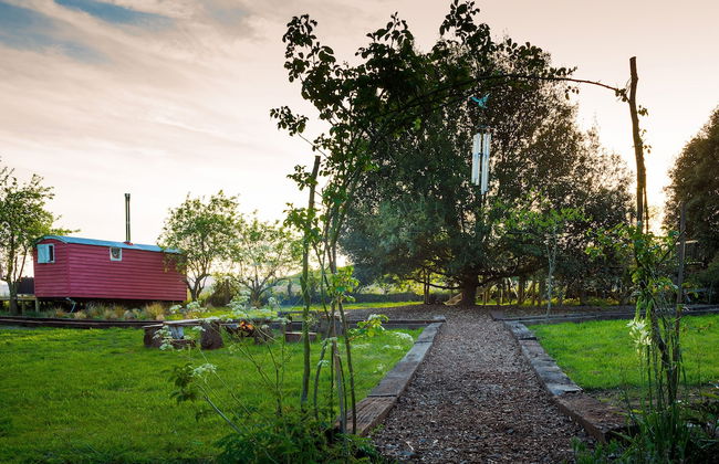 Samsara Retreat and Yoga - Adults Only - Foto 24