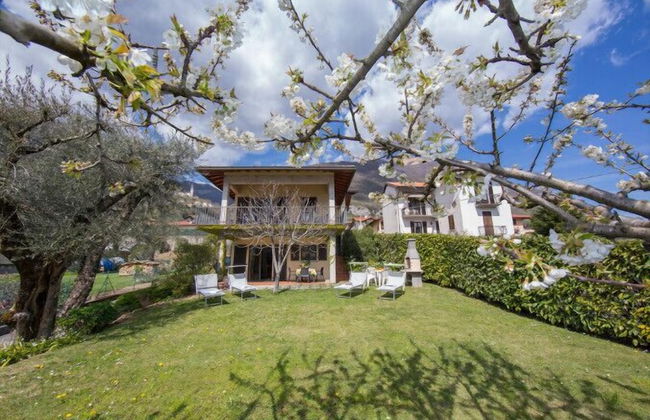 Antico Ulivo - Foto 13