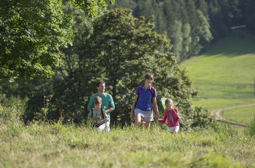 Photo 15 - VVF Haute Loire Haute Ardèche, Tence