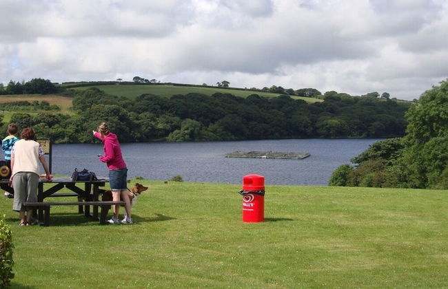 Llysyfran Farm B&B - Foto 12