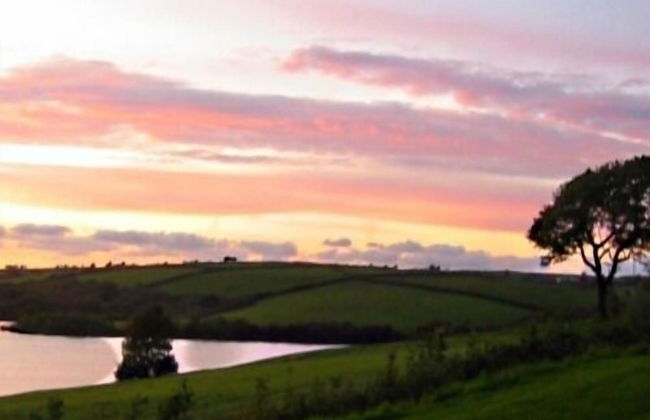 Llysyfran Farm B&B - Foto 14