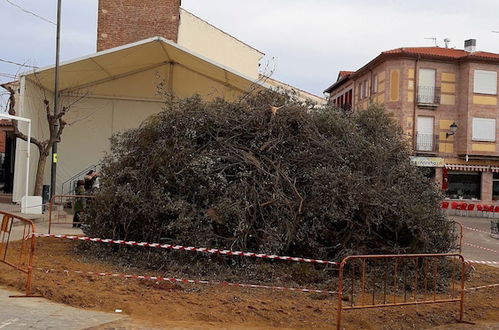 Photo 47 - La Casa del Marqués