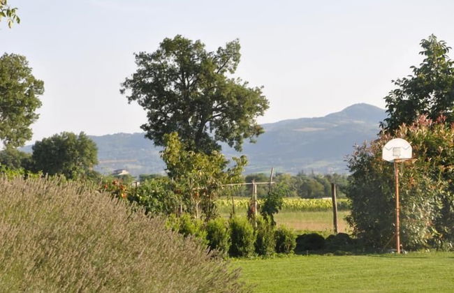 Ca' Matra - Foto 35