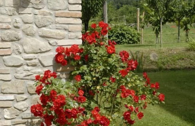 Ca' Matra - Foto 49