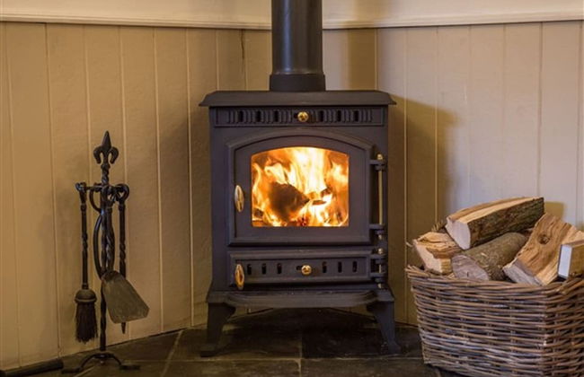 Cheristow Farm Cottages - Foto 42