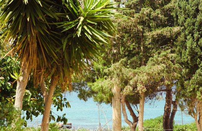 La casa a 3 minuti a piedi dalla spiaggia - Foto 14