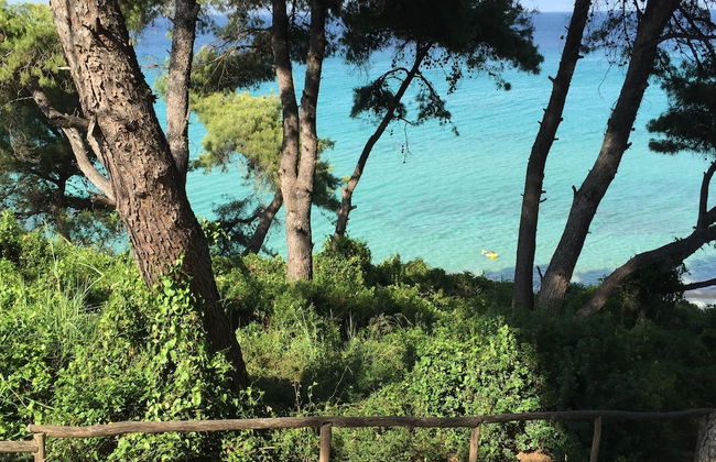 Petra Mare Villas - Foto 28