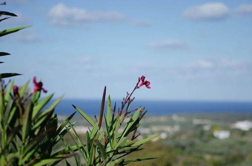 Photo 1 - Peaceful Holiday Home in Agia Triada With Swimming Pool