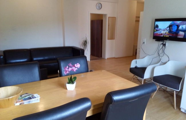 Apartmentpension am Stadtschloss - Foto 22
