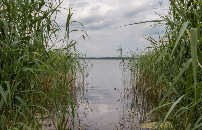 Natura-Familienpark Grimnitzsee Recreation Park - Foto 16