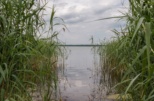 Photo 16 - Natura-Familienpark Grimnitzsee Recreation Park