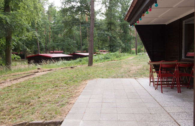 Natura-Familienpark Grimnitzsee Recreation Park - Foto 22