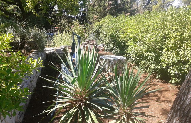 Dino - 20m From the sea - SA2 - Foto 17