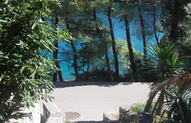 Dino - 20m From the sea - SA2 - Foto 23