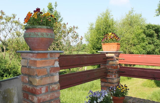 Holiday Home in Steffenshagen With Terrace - Foto 36