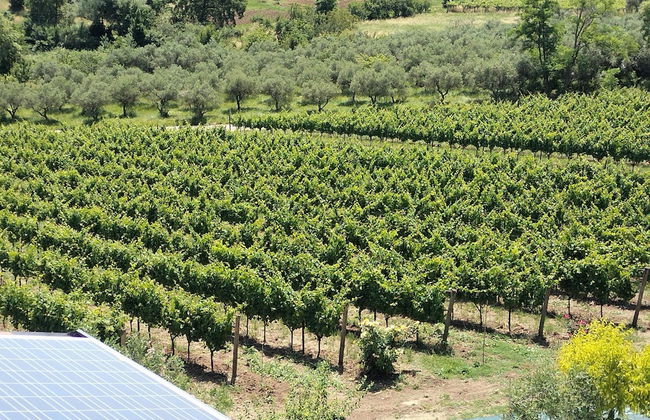 Angelucci Agriturismo con Camere e Agri Camping - Foto 62