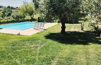 Photo 1 - Angelucci Agriturismo con Camere e Agri Camping