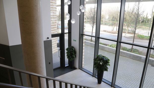 Entrada (vista interior)