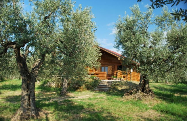 Chalet 6 Agriturismo - Foto 15