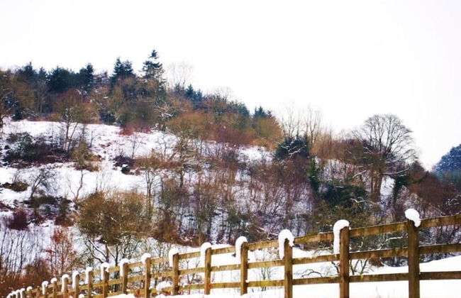 Cottage Sleeps3-fireplace-balcony-garden-mountain - Foto 23