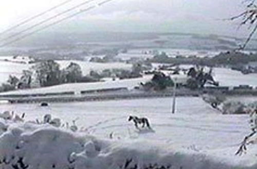 Photo 9 - Cottage With Amazing Views of the North York Moors